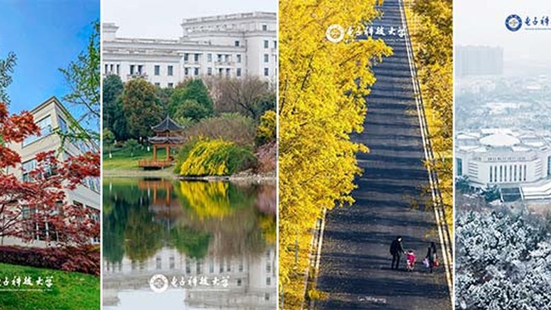 深圳市微电子有限公司